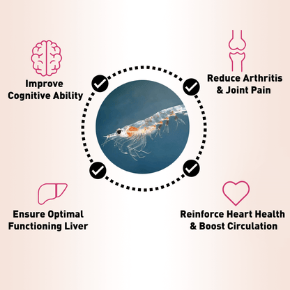 Misspep Pure Antarctic Krill Oil Omega-3 Fatty Acids with EPA and DHA, 1200 mg Softgel Supplement